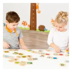 Beleduc Houten Cognitopuzzel Vormen