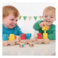 Beleduc Houten Blokkentrein Sorteren