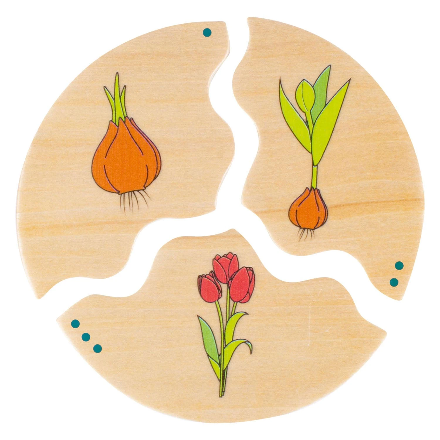 Beleduc Nawito Natuur EvolutieHouten Kinderspel - Afbeelding 3