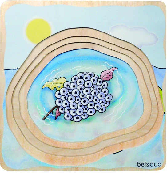 Beleduc Vormenpuzzel Kikker Junior Hout 28 Stukjes