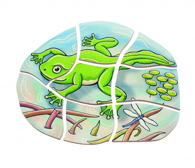 Beleduc Vormenpuzzel Kikker Junior Hout 28 Stukjes - Afbeelding 4